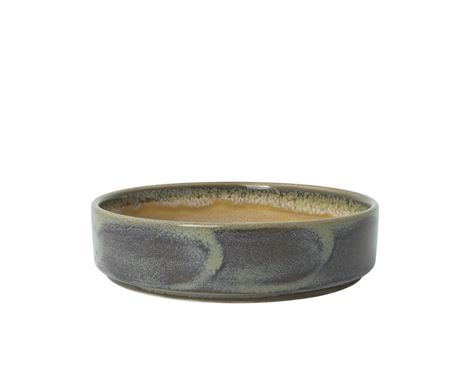 Skål Aurora Revolution