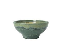 Skål Aurora Revolution