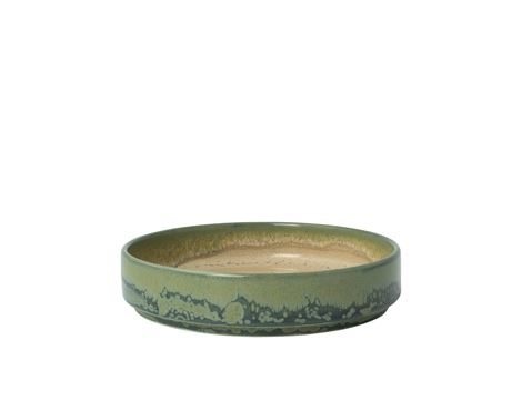 Skål Aurora Revolution