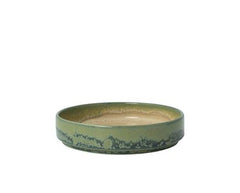 Skål Aurora Revolution